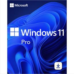 Microsoft Windows 11 Professional - Lifetime License Key