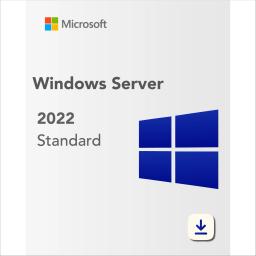 Microsoft Windows Server 2022 Standard - Lifetime License Key